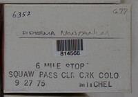 Image Associated With the Occurence